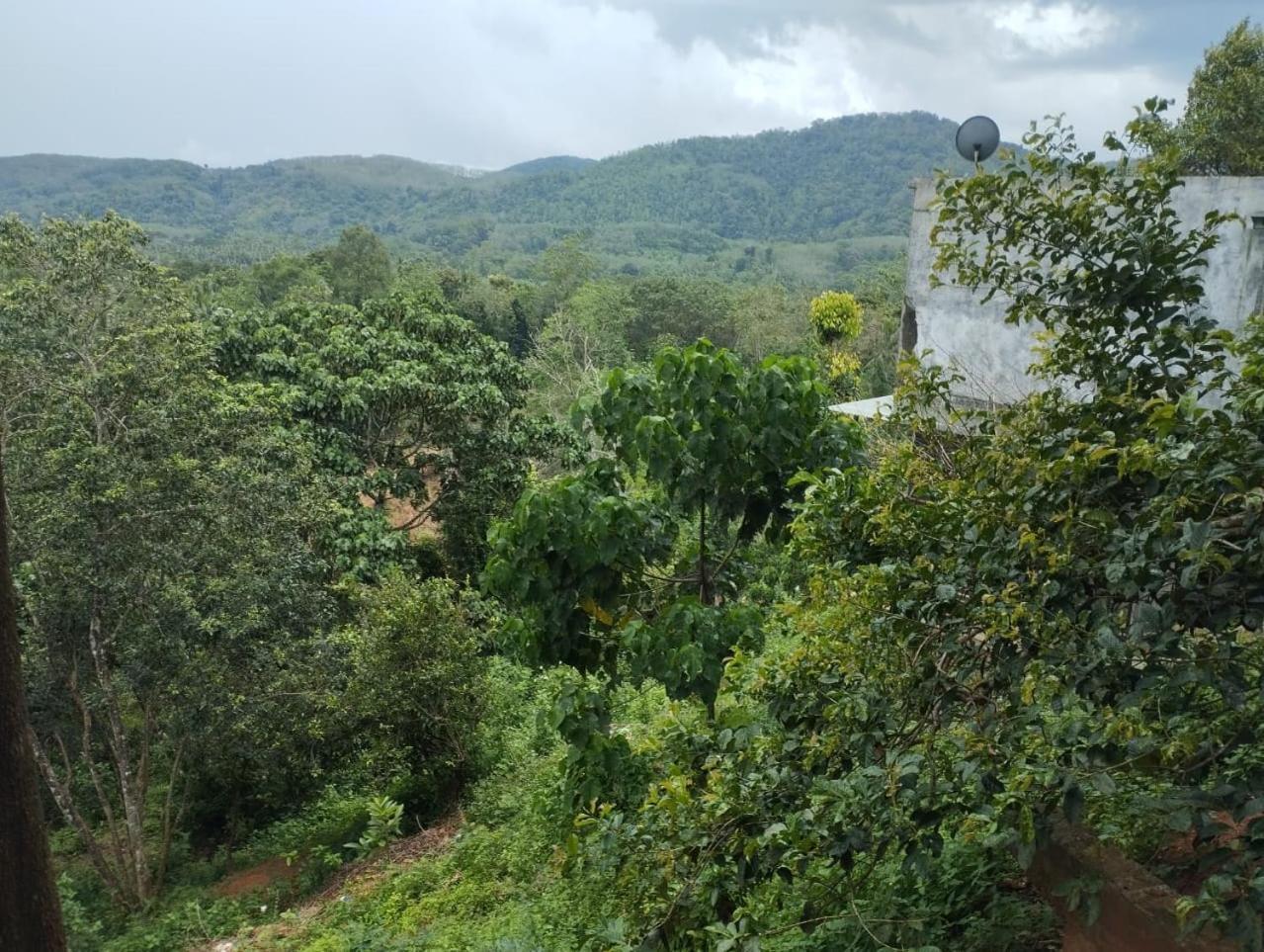 Bogala Village Eco Resort Kegalle Zewnętrze zdjęcie