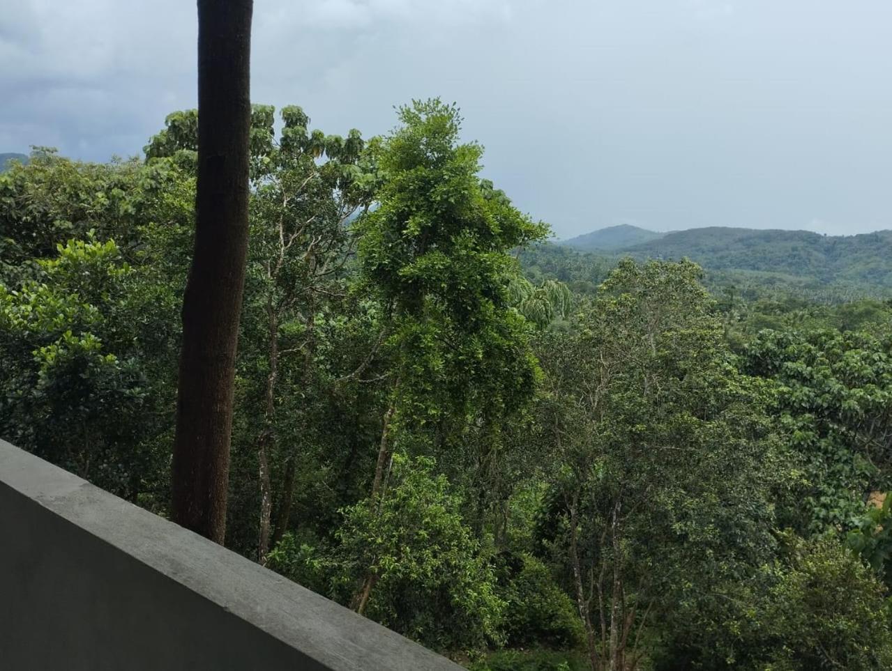 Bogala Village Eco Resort Kegalle Zewnętrze zdjęcie